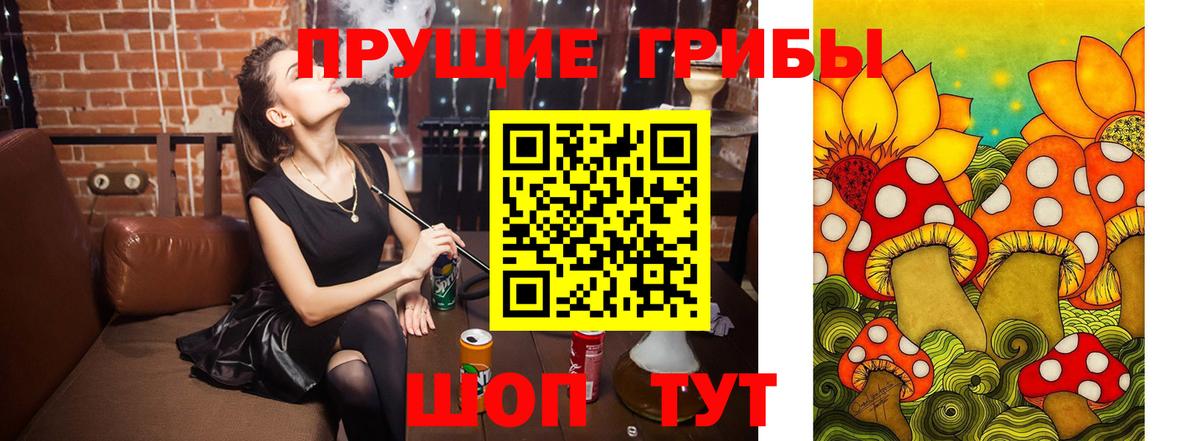 Псилоцибиновые грибы мухоморы Кубинка